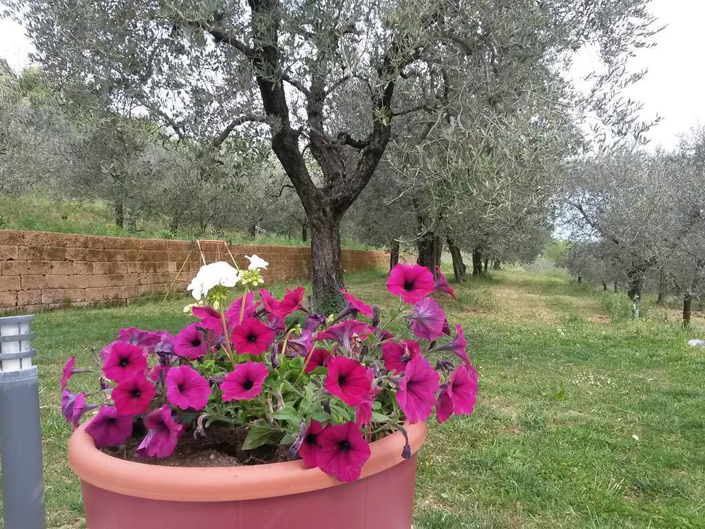 Agriturismo Camparella Pastrengo Buitenkant foto