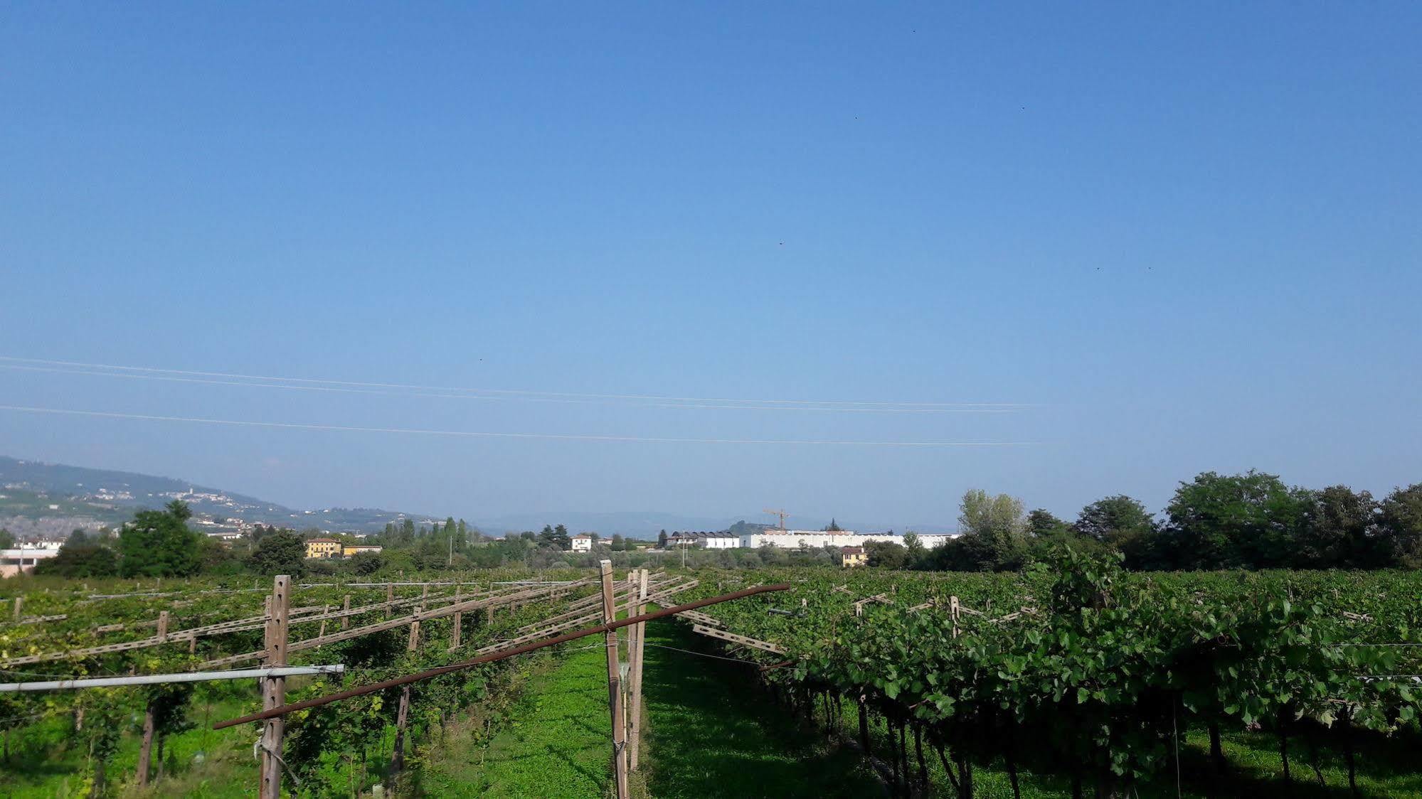 Agriturismo Camparella Pastrengo Buitenkant foto